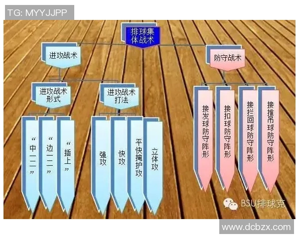 杭州排球队区域防守分析与战术调整的得失探讨