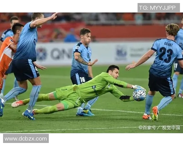 惠灵顿与布里斯班比赛前瞻分析及双方近期状态对比