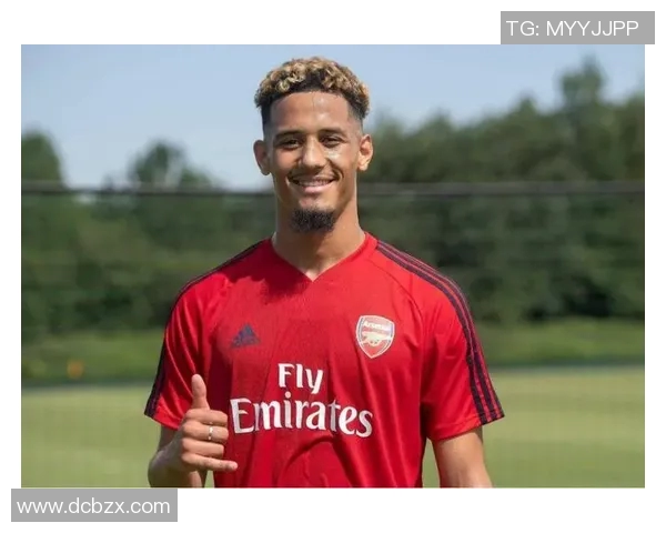 马丁内利：从青涩小将到英超赛场的璀璨明星之路