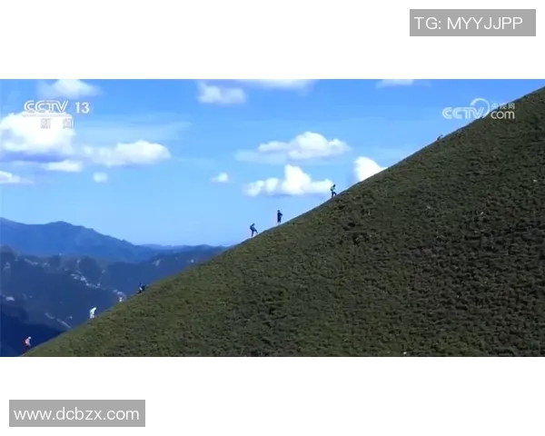 冈山绿雉与心灵的对话探索自然与情感的交汇之美